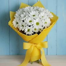 Букет цветов из:  Хризантемы в Поселок дома отдыха Огарево