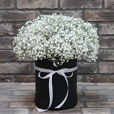 Цветочная композиция из Гипсофила в шляпной коробке в Поселок дома отдыха Огарево