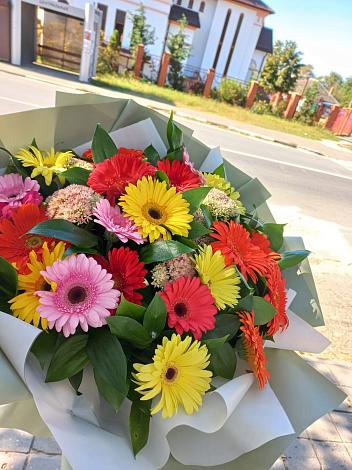 Букет цветов из: Герберы в Поселок дома отдыха Огарево